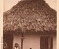historia ro undefined jpeg