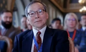 shingo suzuki libertatea jpg