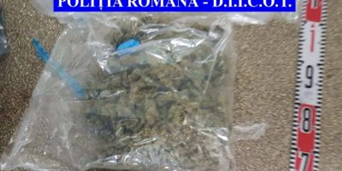 droguri marijuana hasis cocaina Galati 1
