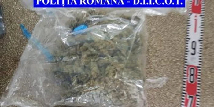 droguri marijuana hasis cocaina Galati 1