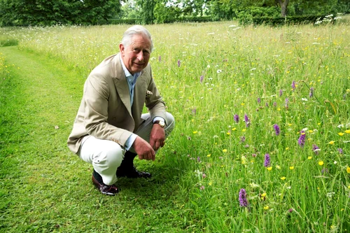 Charles, la Highgrove House. FOTO: Highgrove
