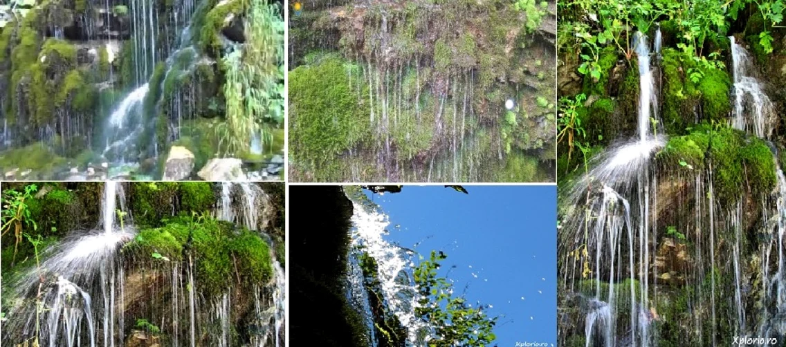 Cascada Verde - Borogeana de pe Cheile Latoriţei - Vâlcea Foto colaj