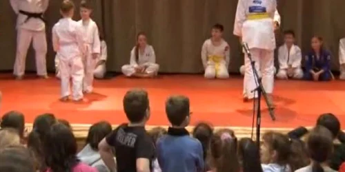 judo