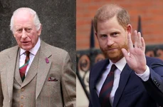 Regele Charles și Prințul Harry foto profimedia jpg