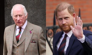 Regele Charles și Prințul Harry foto profimedia jpg