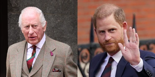 Regele Charles și Prințul Harry foto profimedia jpg