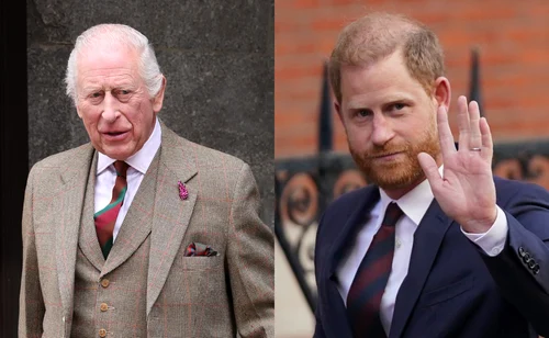Regele Charles și Prințul Harry 