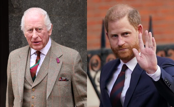 Regele Charles și Prințul Harry foto profimedia jpg
