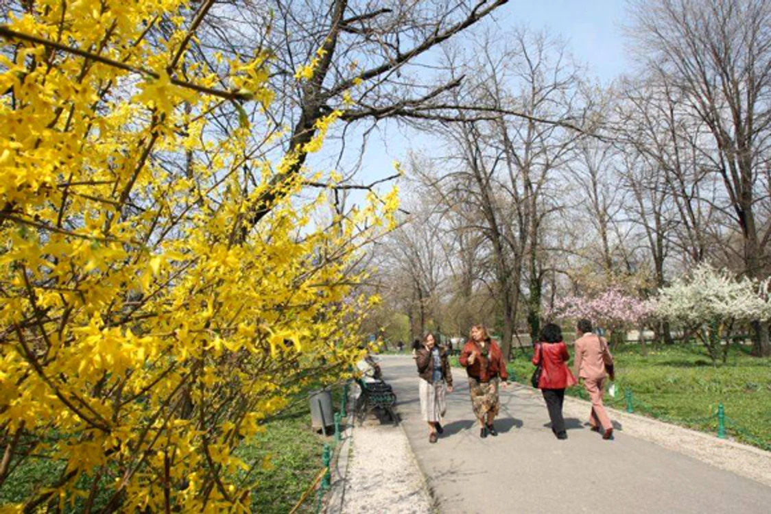 
    În următoarele două zile, temperaturile vor fi în creștere, dar nebulozitatea se va accentua în partea nordică a teritoriuluifoto: Click!  