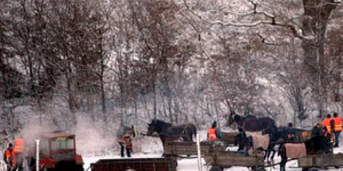 Tânărul a murit sub ochii celorlalţi vânători