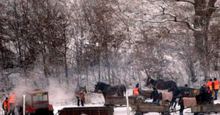 Tânărul a murit sub ochii celorlalţi vânători