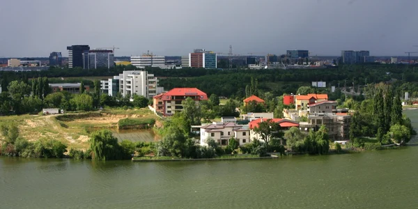 lacul tei