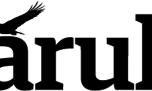 Duminică, 25 mai, maraton jurnalistic pe adevarul ro jpeg