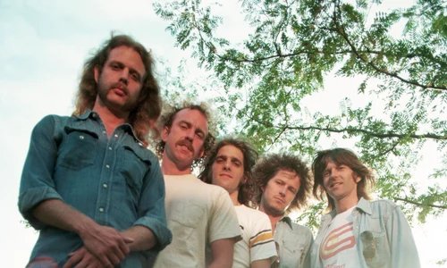 Portrait of the Rock Band The Eagles jpeg