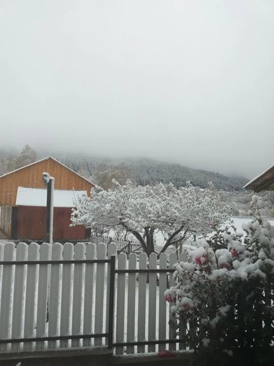 zapada vrancea