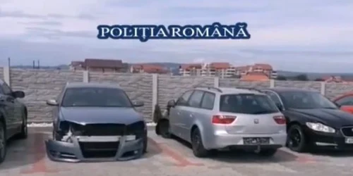 masini perchezitii alba