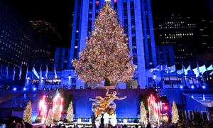 BRAD ROCKEFELLER 2025 PROFIMEDIA jpg