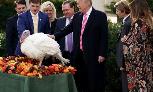 President Trump And First Lady Melania Hold National Thanksgiving Turkey Pardoning Ceremony jpeg