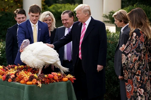 President Trump And First Lady Melania Hold National Thanksgiving Turkey Pardoning Ceremony jpeg