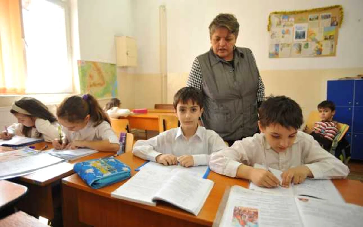 profesori
