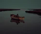 FOTO Evgenia Arbugaeva - The New Yorker