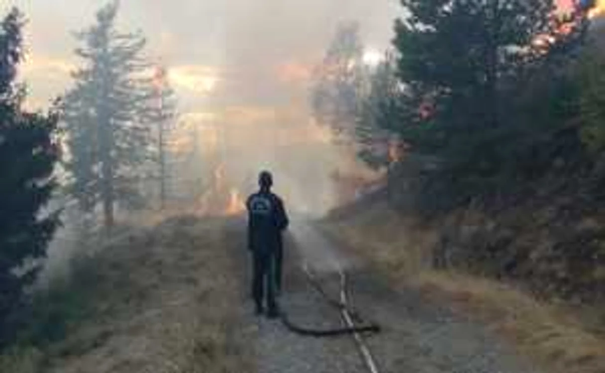 Arde pădurea de răşinoase de pe Muntele Cozia
