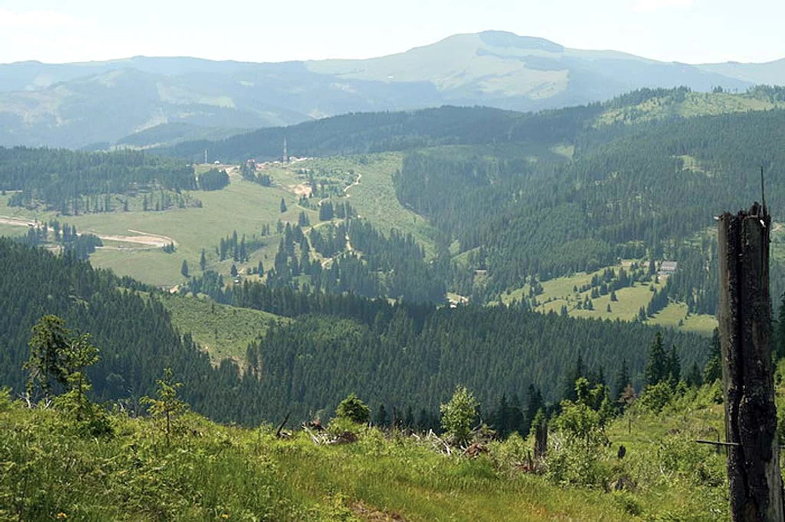 Pasul Mestecăniş este unul dintre cele mai pitoreşti din România