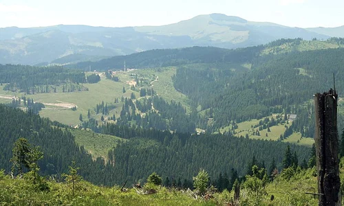 Pasul Mestecăniş este unul dintre cele mai pitoreşti din România jpeg