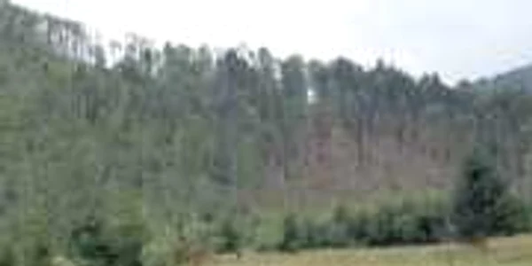 Centru turistic  pe Valea Vaserului