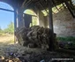 Gara municipiului Brad și anexele sale Foto Daniel Guță ADEVĂRUL (33) jpg