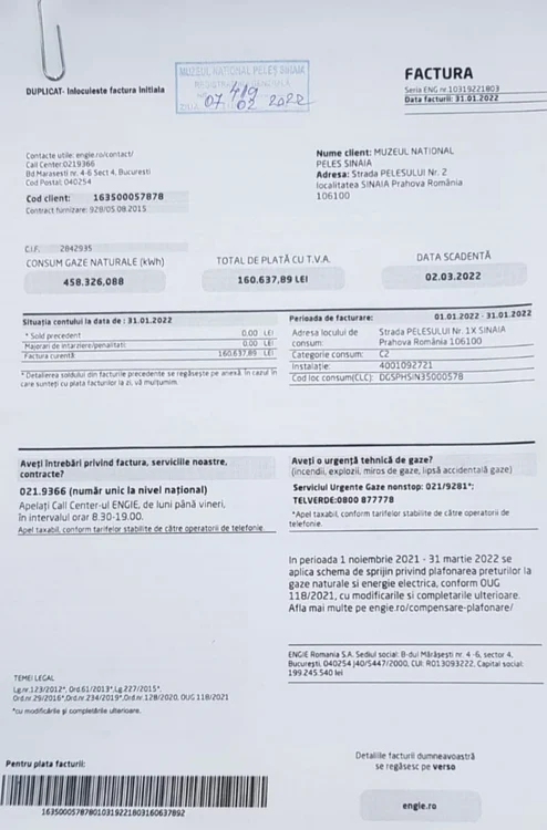 factura de gaze petnru muzeul peles pentru luna ianuarie 2022