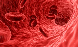 1 blood 1813410 1280 jpg jpeg