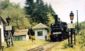 Calea ferată cu cremalieră Haţeg  Caransebeş Fotografie din anii 70 Barbu Bibel Bărbulescu Facebook