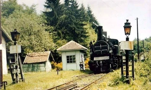 Calea ferată cu cremalieră Haţeg Caransebeş Fotografie din anii 70 Barbu Bibel Bărbulescu Facebook