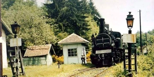 Calea ferată cu cremalieră Haţeg  Caransebeş Fotografie din anii 70 Barbu Bibel Bărbulescu Facebook