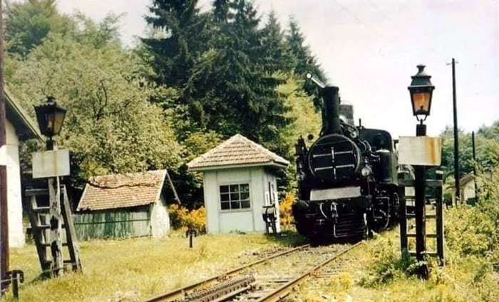 Calea ferată cu cremalieră. Foto: Barbu Bibel Bărbulescu. Facebook