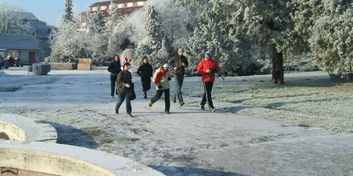 Alergare de Anul Nou în Parcul Botanic din Timişoara