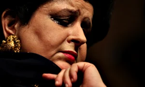 Mariana Nicolesco foto Mediafax (2) jpg