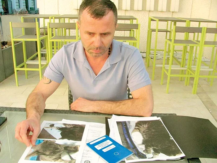 Adrian Suar vrea să-l dea în judecată pe medicul care i-a tratat motanul (fotografii: arhiva personală)
