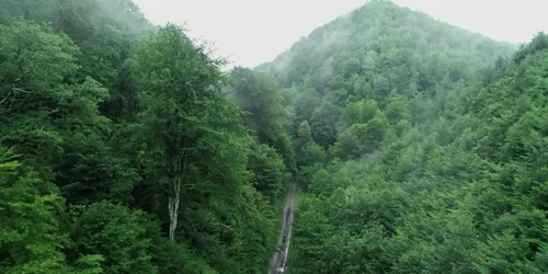 5b59af85df52022f75a82821 jpg