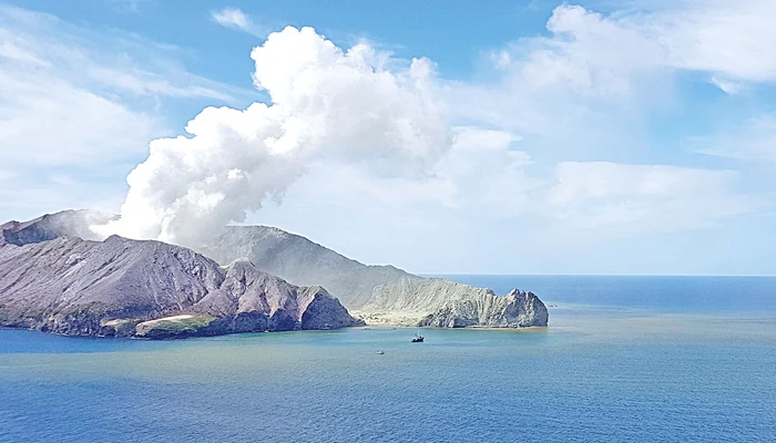 
    Au comandat 119 metri pătraţi de piele pentru răniţi  