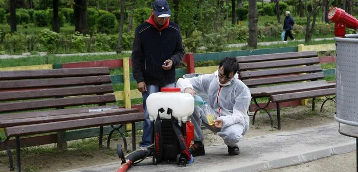 50 de pacienţi pe zi ajung la spital muşcaţi de căpuşe FOTO Adevărul