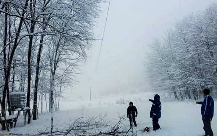 Agresiunea a avut loc în apropierea unei păduri de pe raza comunei Ţibana FOTO Adevărul