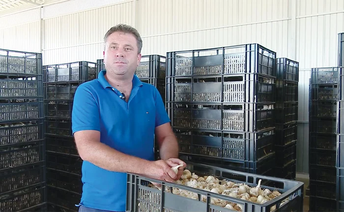 Legumicultorul Valentin Jecu se mândreşte cu leguma-condiment