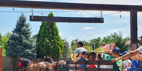 301371907 3202371720020881 6775674713639815528 n jpg