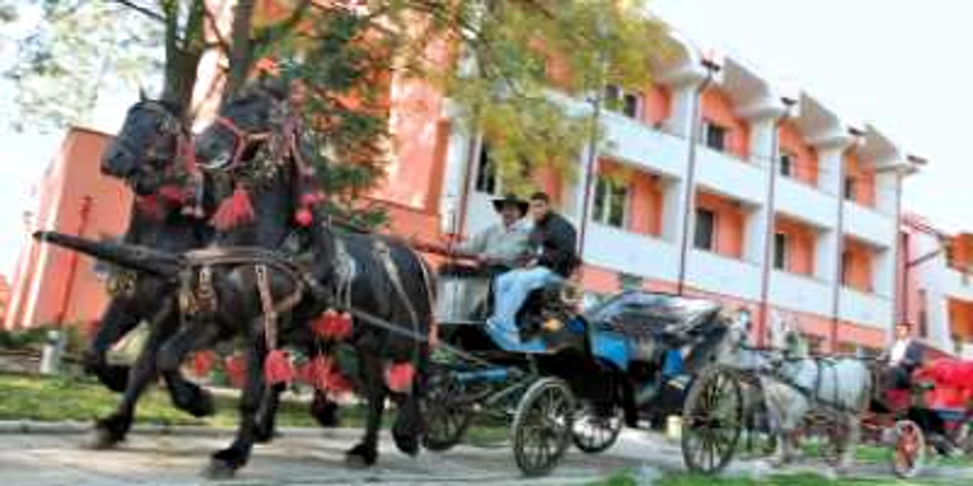 Judeţ cu judeţ: Niciunul dintre cele patru izvoare din Târgu Mureş nu are apă potabilă.