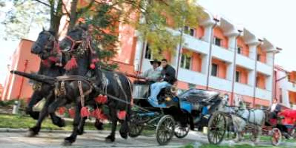Judeţ cu judeţ: Niciunul dintre cele patru izvoare din Târgu Mureş nu are apă potabilă.