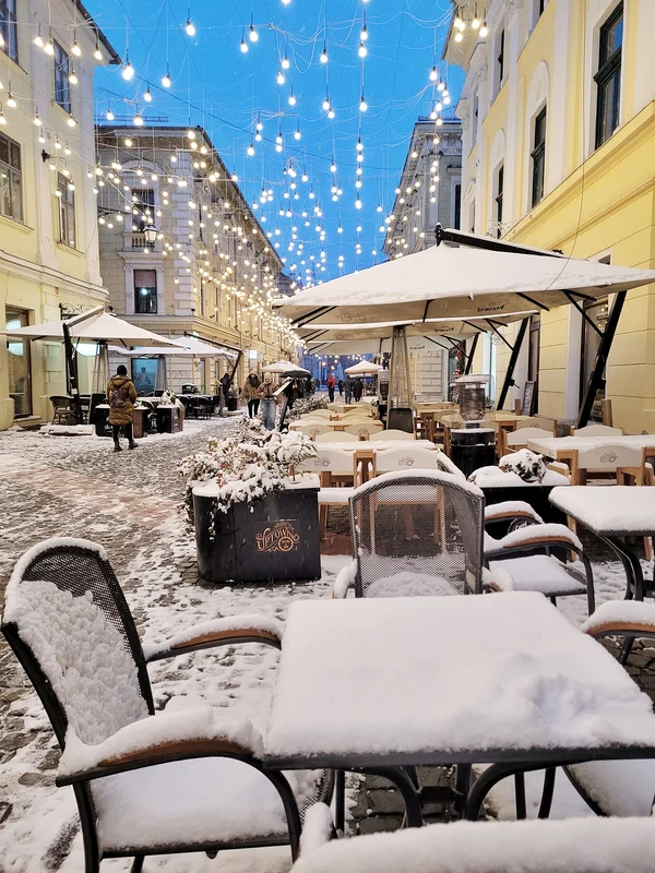 Prima ninsoare din 2014 la Timișoara FOTO Răzvan Vitionescu