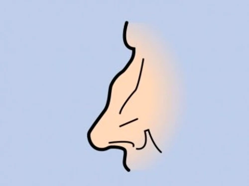 87a91e701449560643d4862d78f24147 jpg jpeg