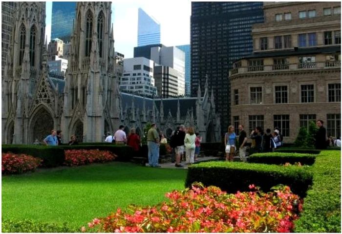 http://inhabitat.com/nyc/wp-content/blogs.dir/2/files/2011/08/rockefeller-rooftop-garden-vipnyc-537x366.jpg